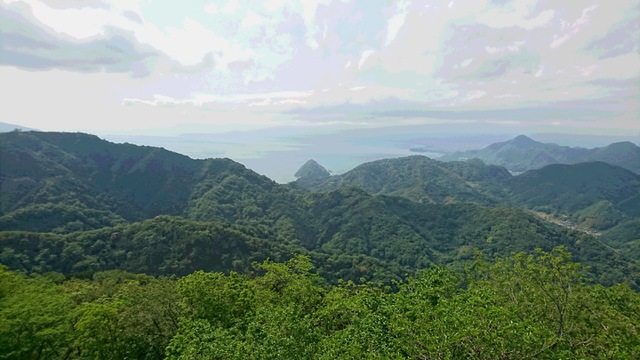 摜