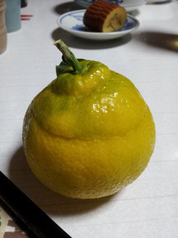 摜