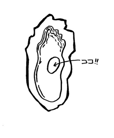 摜