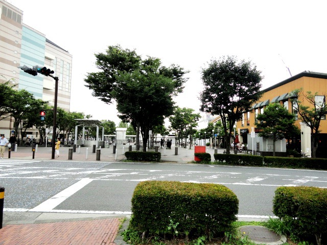 摜