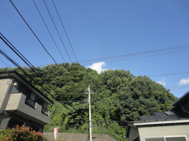 摜