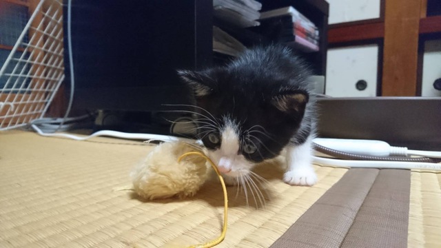 摜