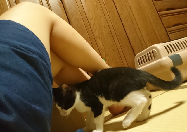 摜