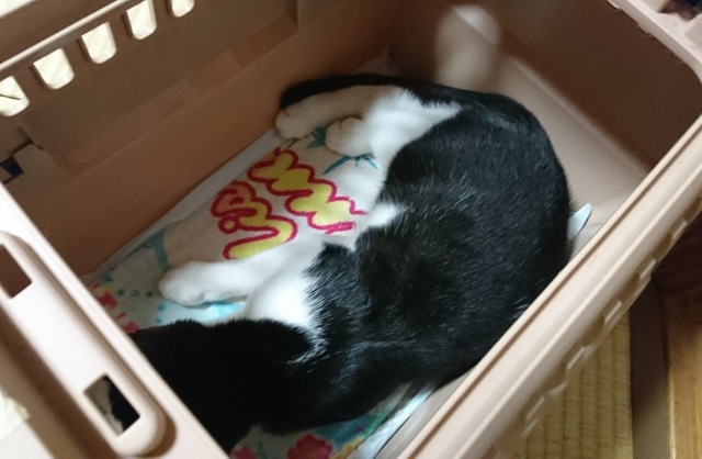 摜