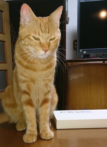 摜