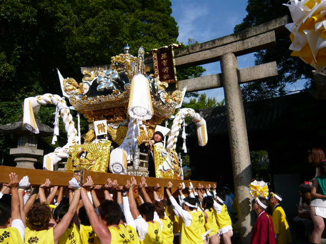 摜