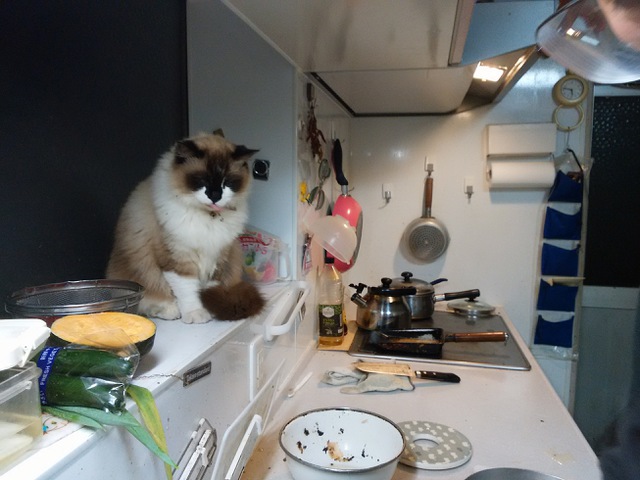 摜