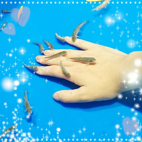 摜