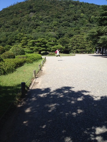 摜
