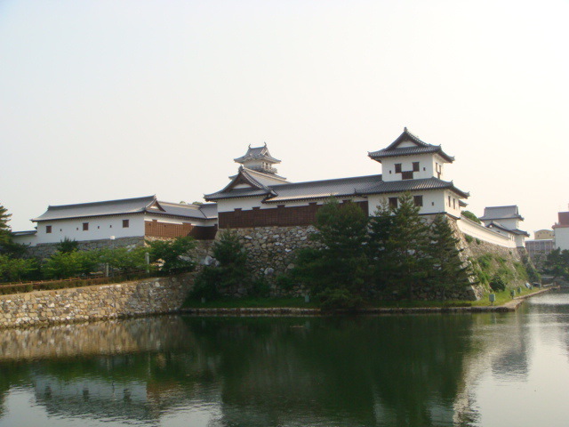 摜