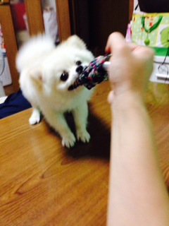 摜