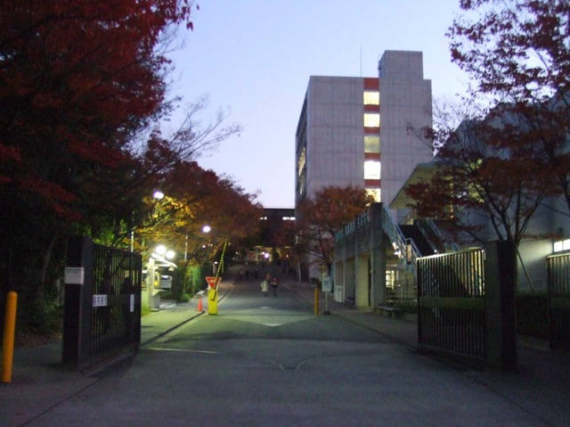 摜