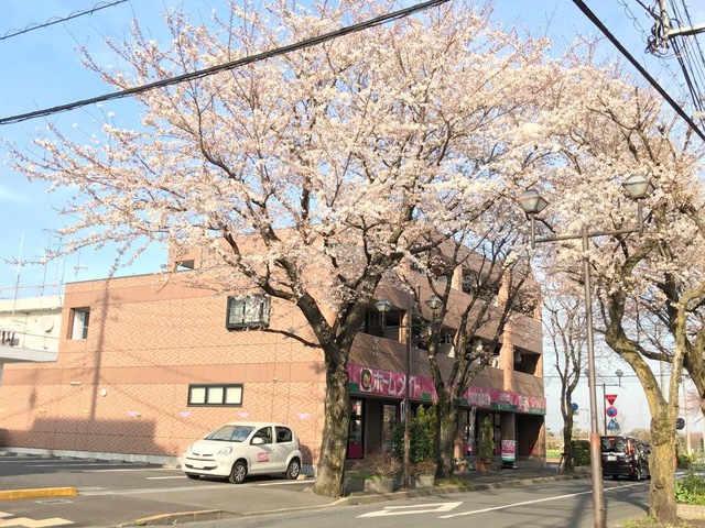 摜