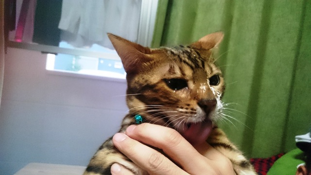 摜