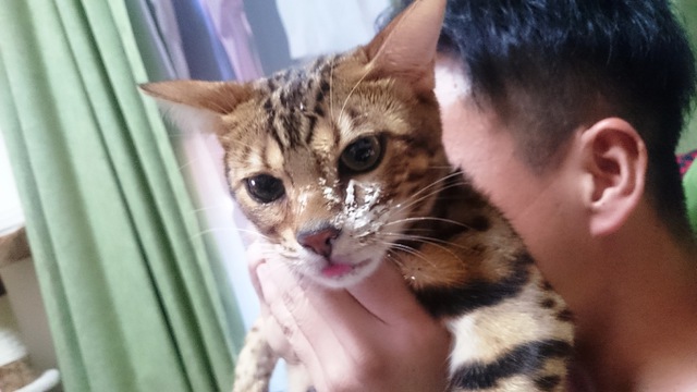 摜