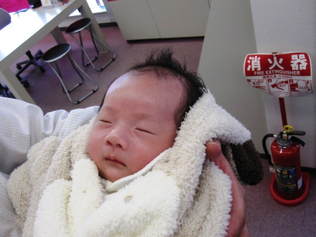 摜