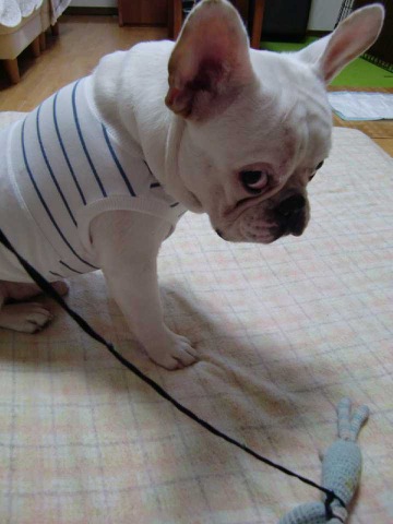 摜
