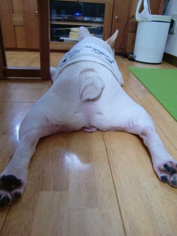 摜