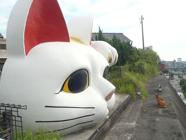 摜