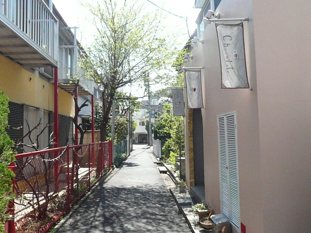 摜