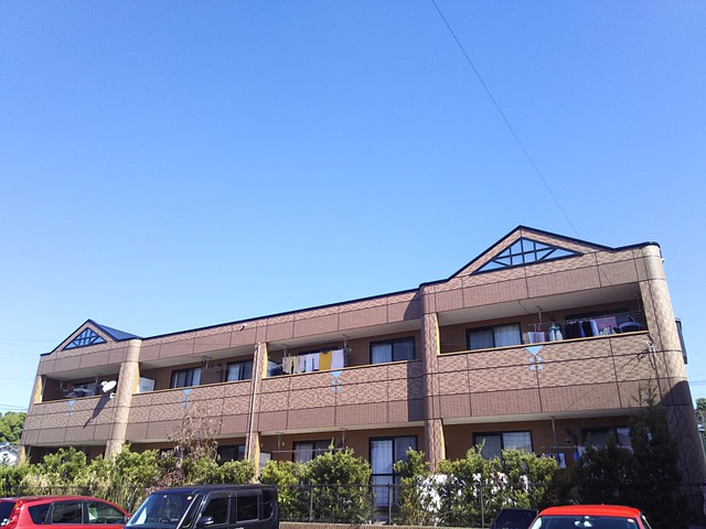 摜