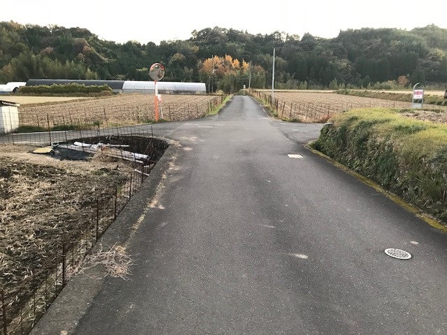 摜