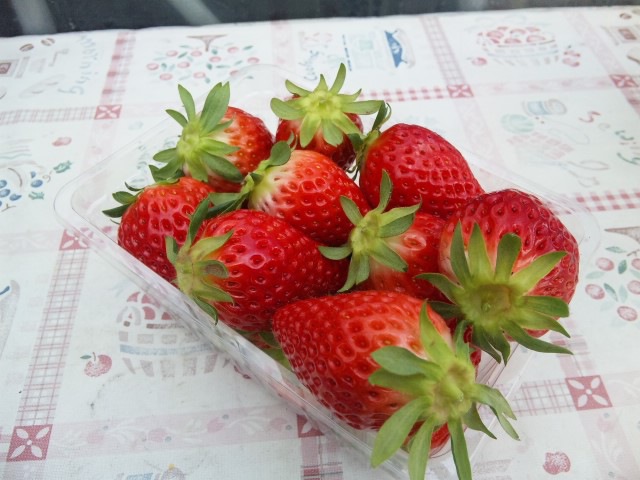 摜