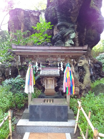 摜