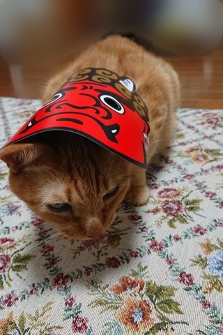 摜