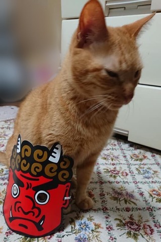 摜