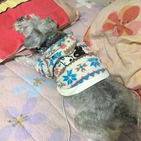 摜