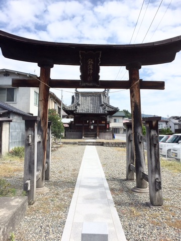 摜