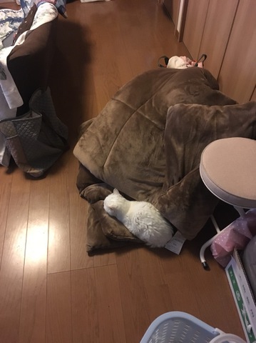 摜