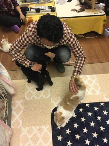 摜