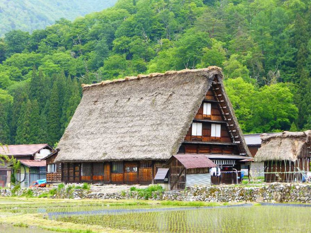 摜