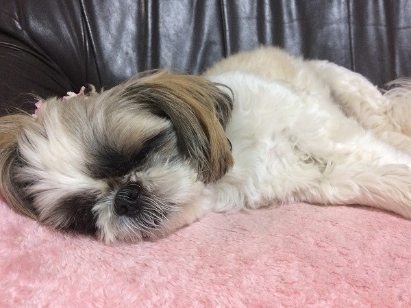 摜