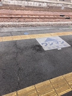 摜
