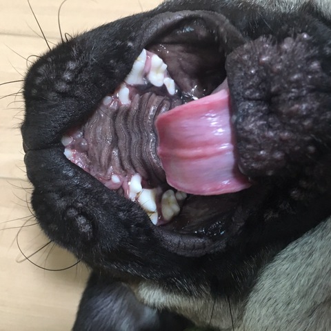 摜
