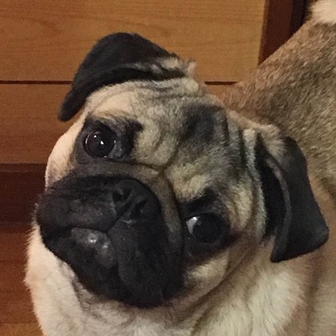 摜