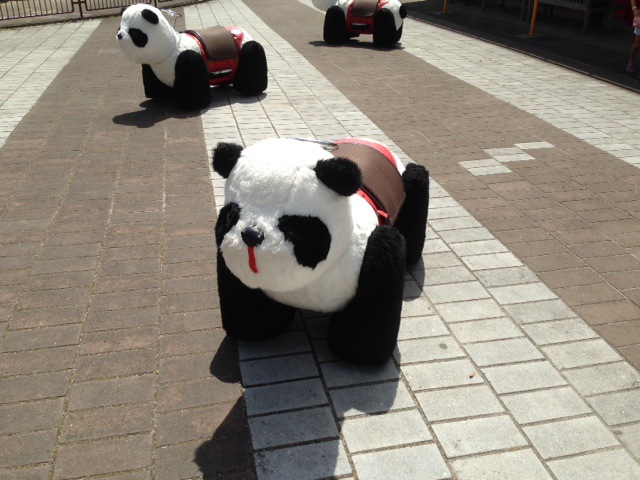 摜