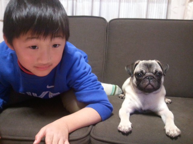 摜