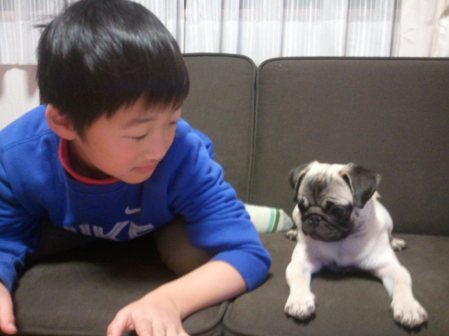 摜