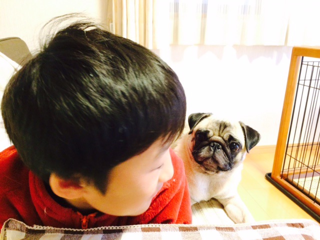 摜