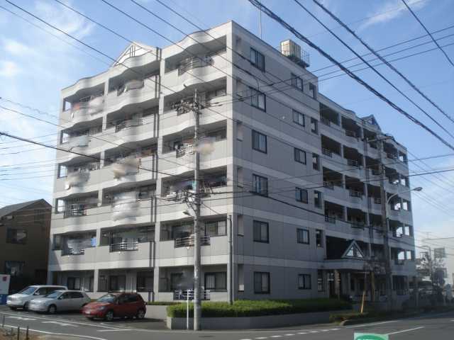 摜