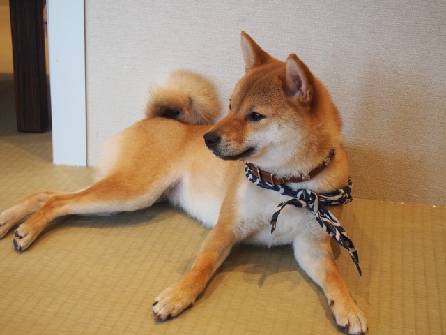 摜