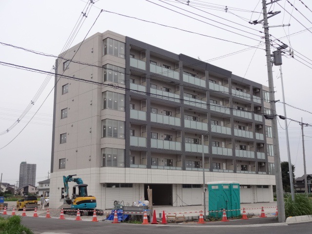 摜