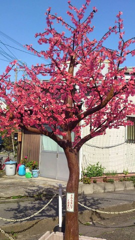 摜