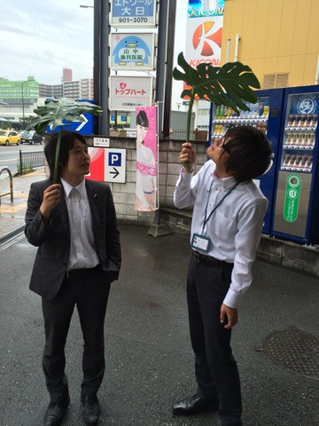 摜