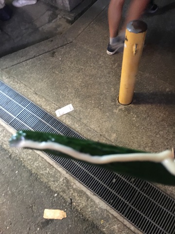 摜