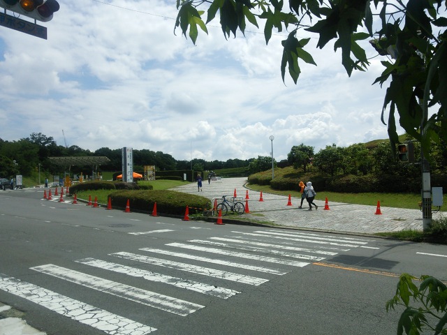 摜